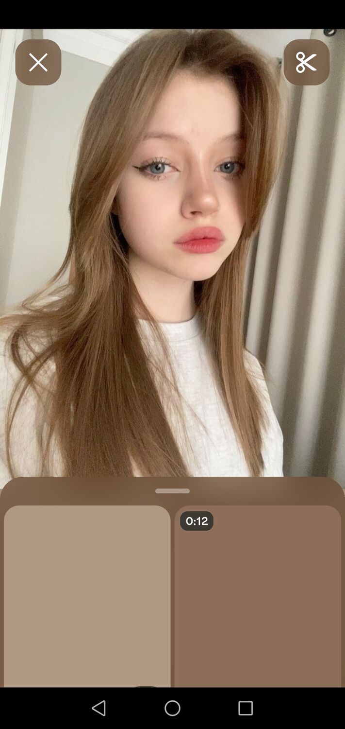  53629236  , 24 ,    
