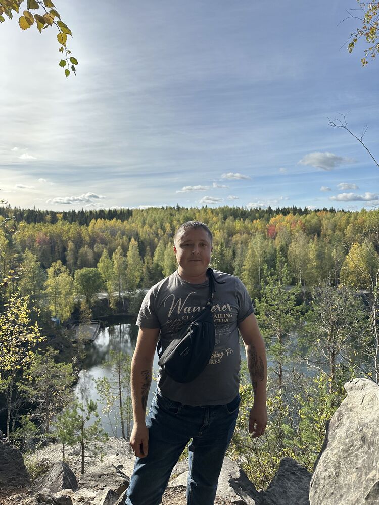  54466996  , 31 ,    -