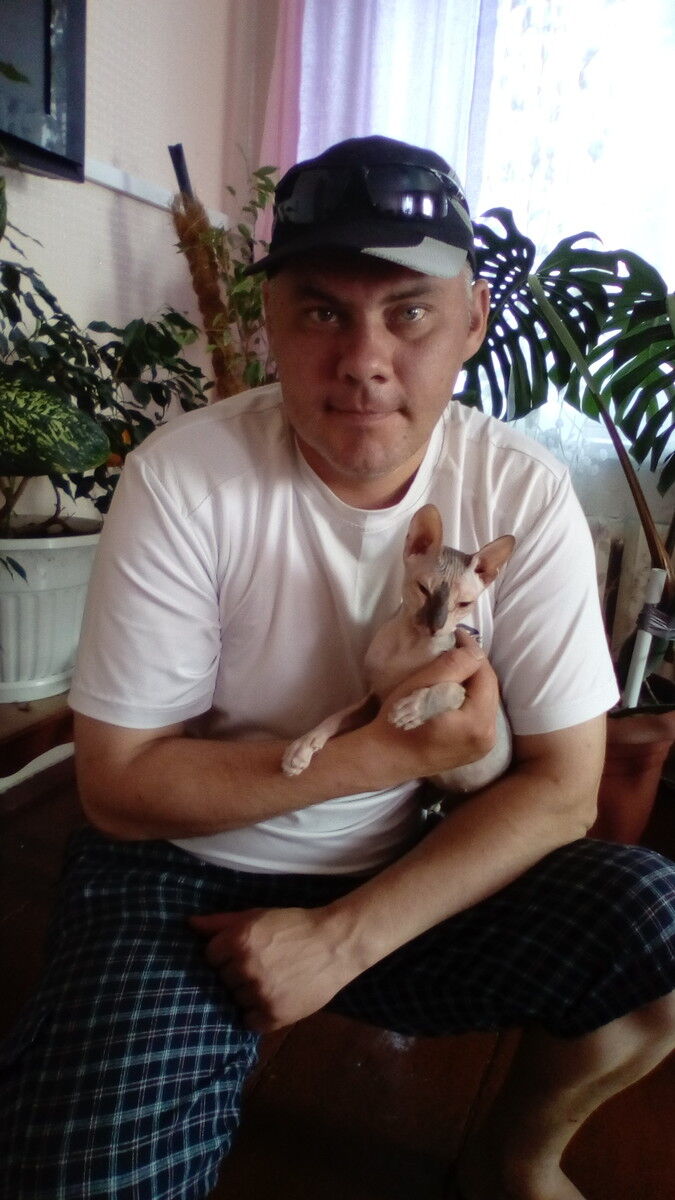 ���� 13326386 ������� ��������, 44 ����, ���� ���������� � �������