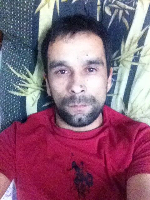 ���� 16386356 ������� Boroda, 42 ����, ���� ���������� � ����������