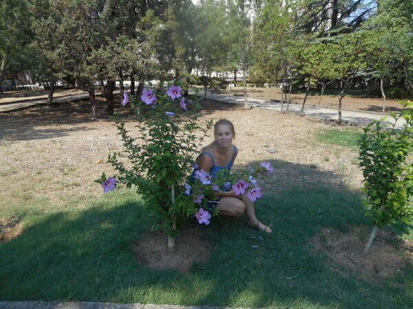 ���������� ������, ���� ������� �������, 37 ���, ������������ ��� ������, ����� � ���������