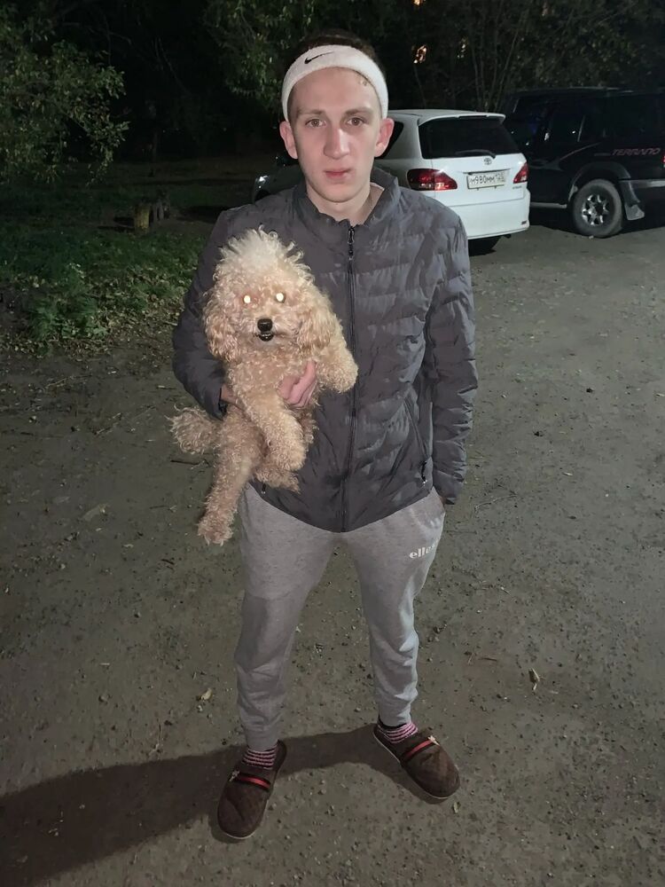  --,   , 23 ,   ,   