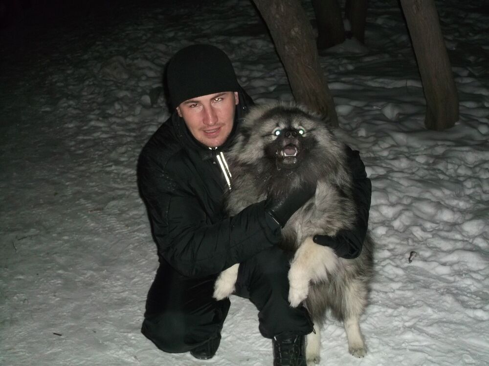 ���� 5027556 ������� ��������, 38 ���, ���� ���������� � ��������