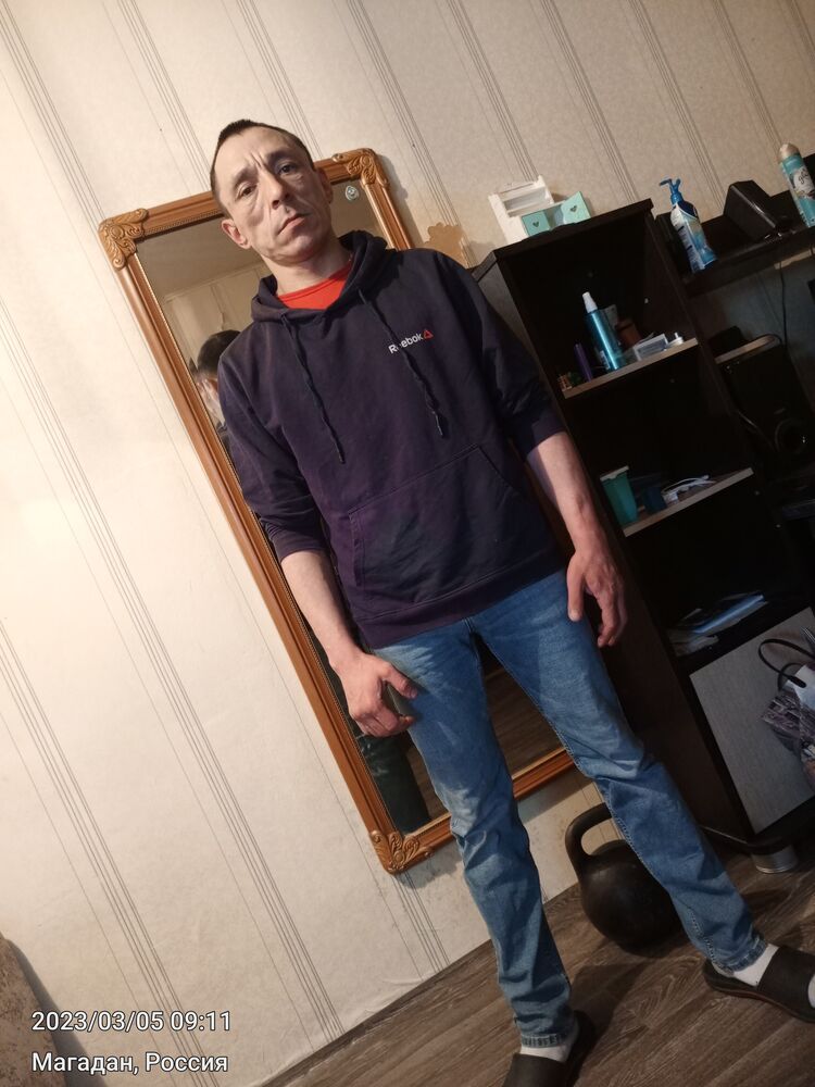  33761646  , 43 ,    