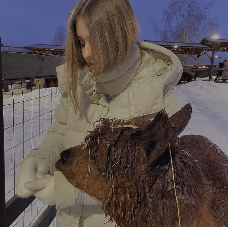 ���������� ������, ���� ������� ������, 27 ���, ������������ ��� ����� � ���������