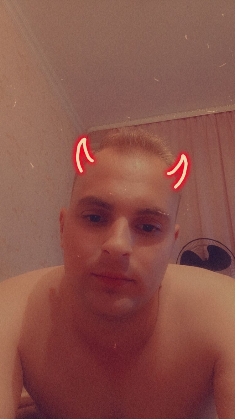  49045686  , 24 ,    