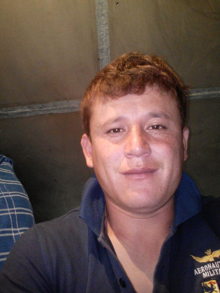 ���� 9491196 ������� ��, 31 ���, ���� ���������� � ������������