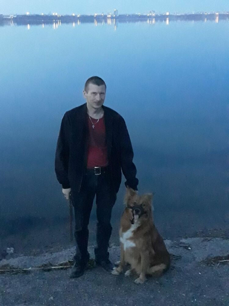 ���� 24503006 ������� �������, 48 ���, ���� ���������� � ���������