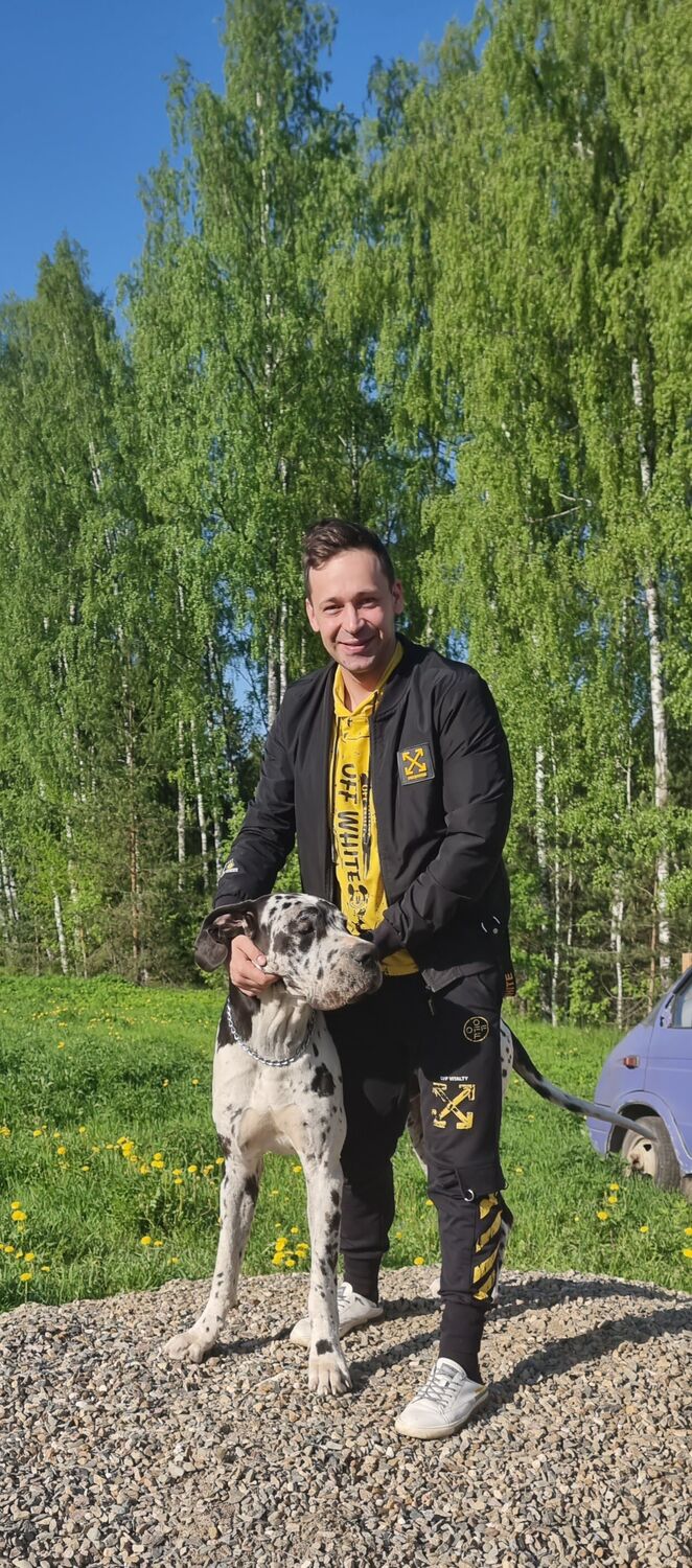  28251686  Vitaly, 35 ,    