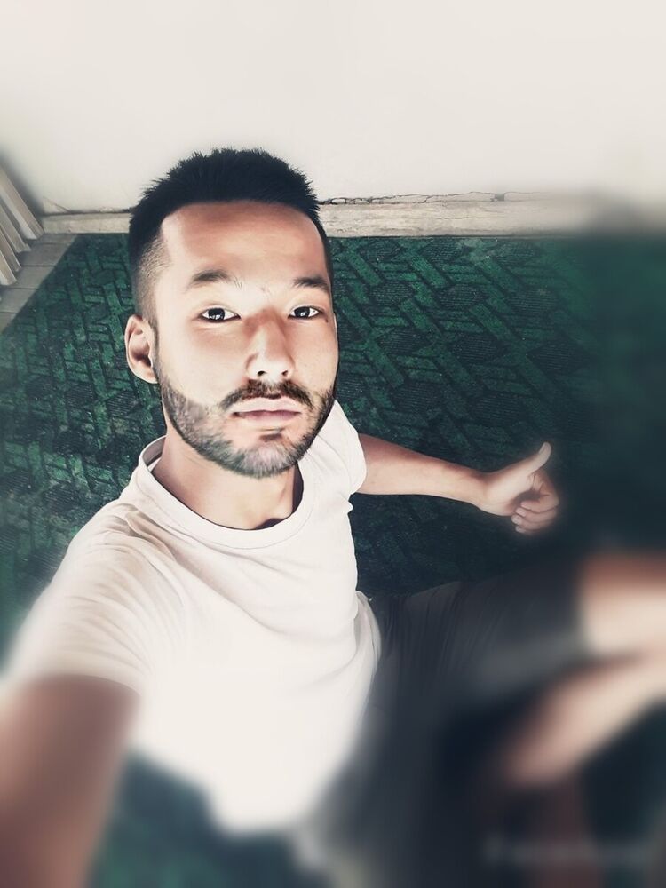  20465506  , 24 ,    