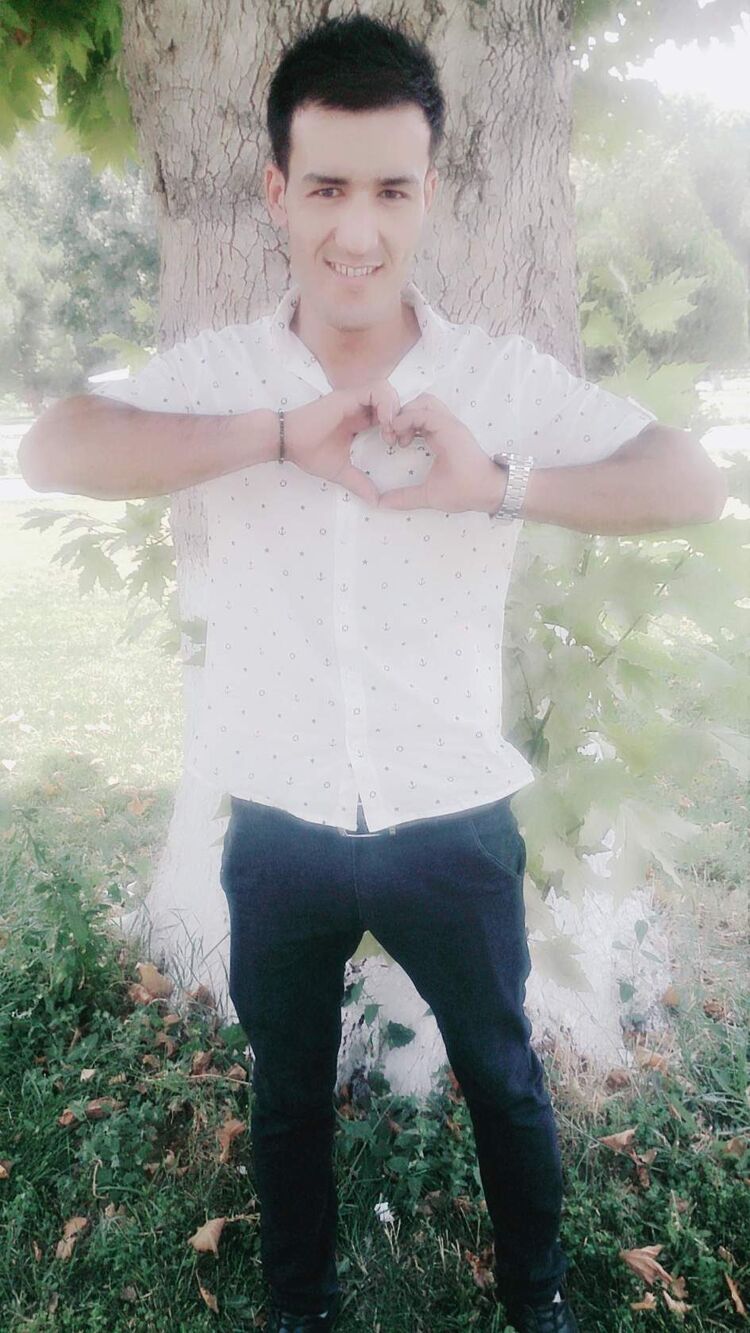  36943206  , 31 ,    