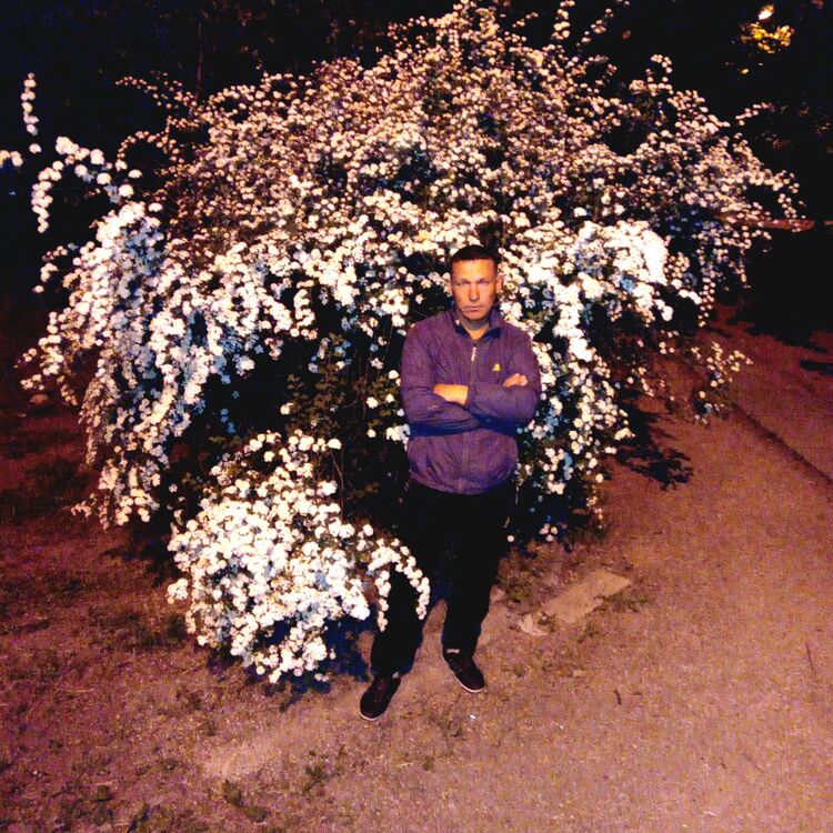 ���� 26619226 ������� ������, 40 ���, ���� ���������� � �����������