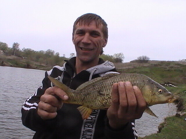  25550366  Viktor, 56 ,    