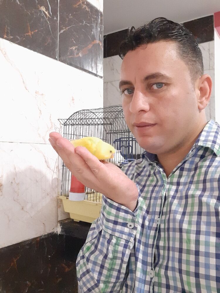  26923186  Mahmoud, 36 ,    Al Ghardaqah