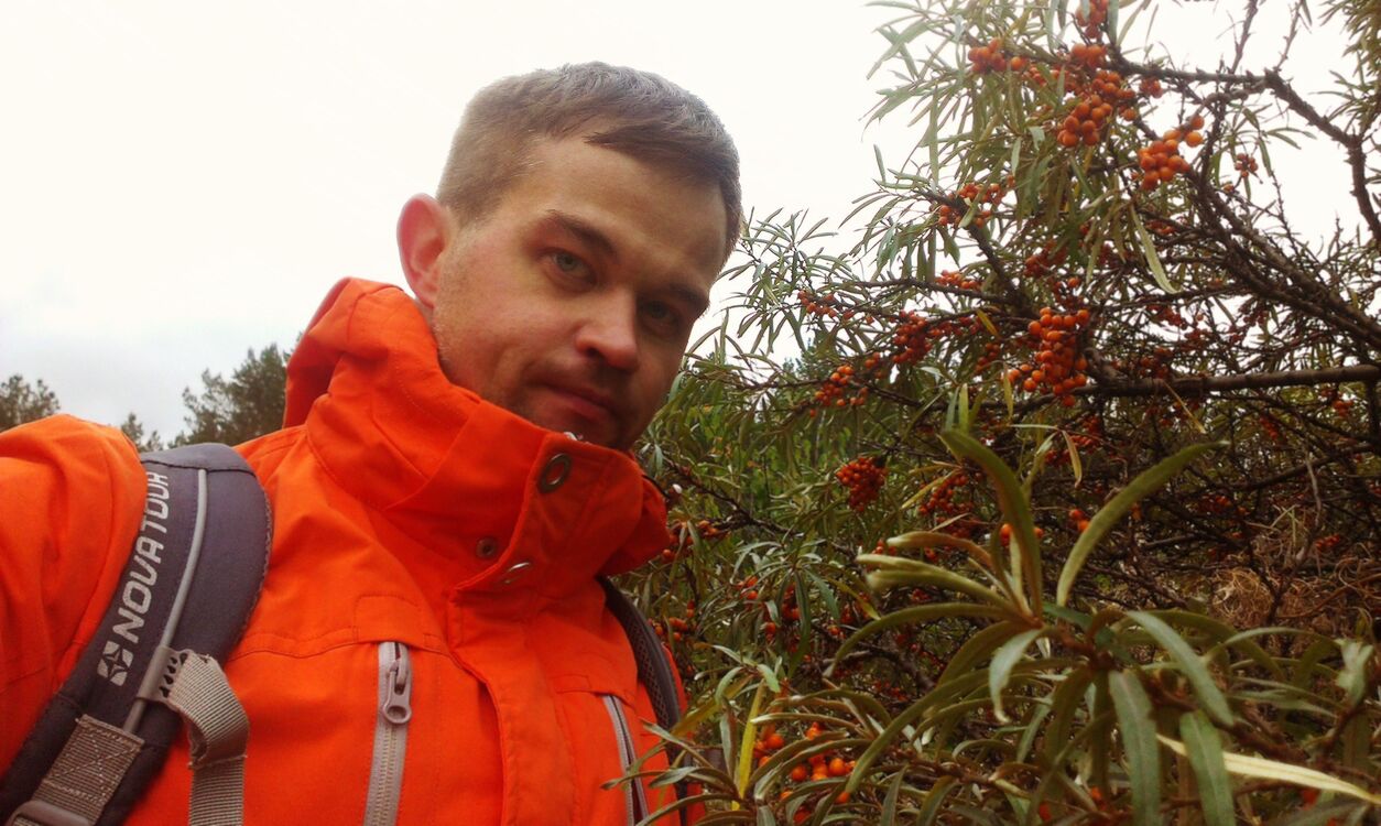 ���� 25903986 ������� Ton, 41 ���, ���� ���������� � �������������