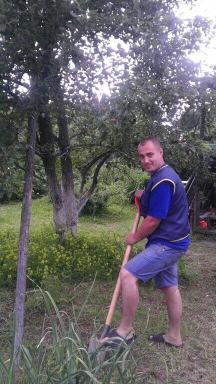 ���������� ������, ���� ������� Lexakon33, 43 ����, ������������ ��� ������