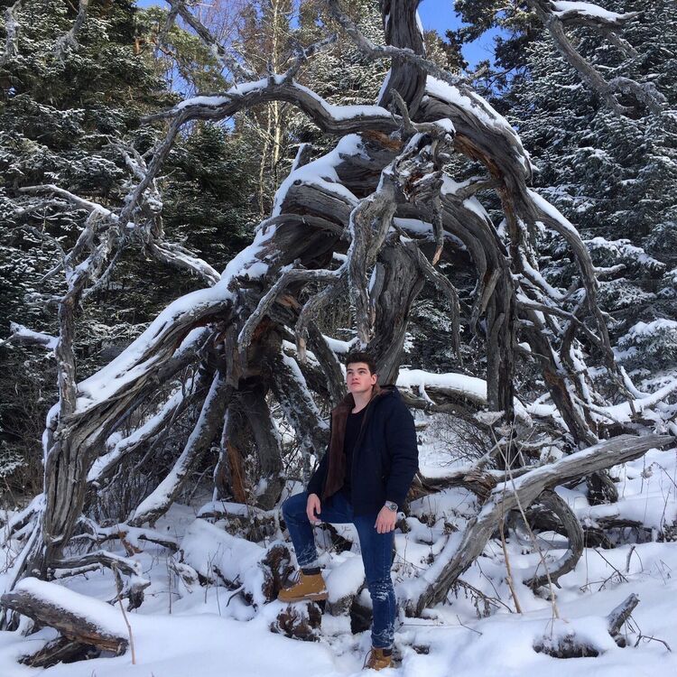 ���������� ������������, ���� ����� ��������, 25 ���, ������������ ��� ������, ����� � ���������, c�������� ���������, ���������