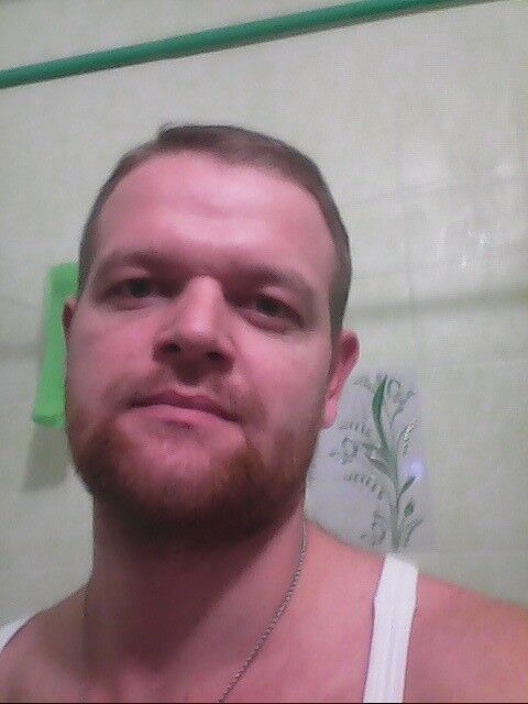  7949316  , 43 ,    -