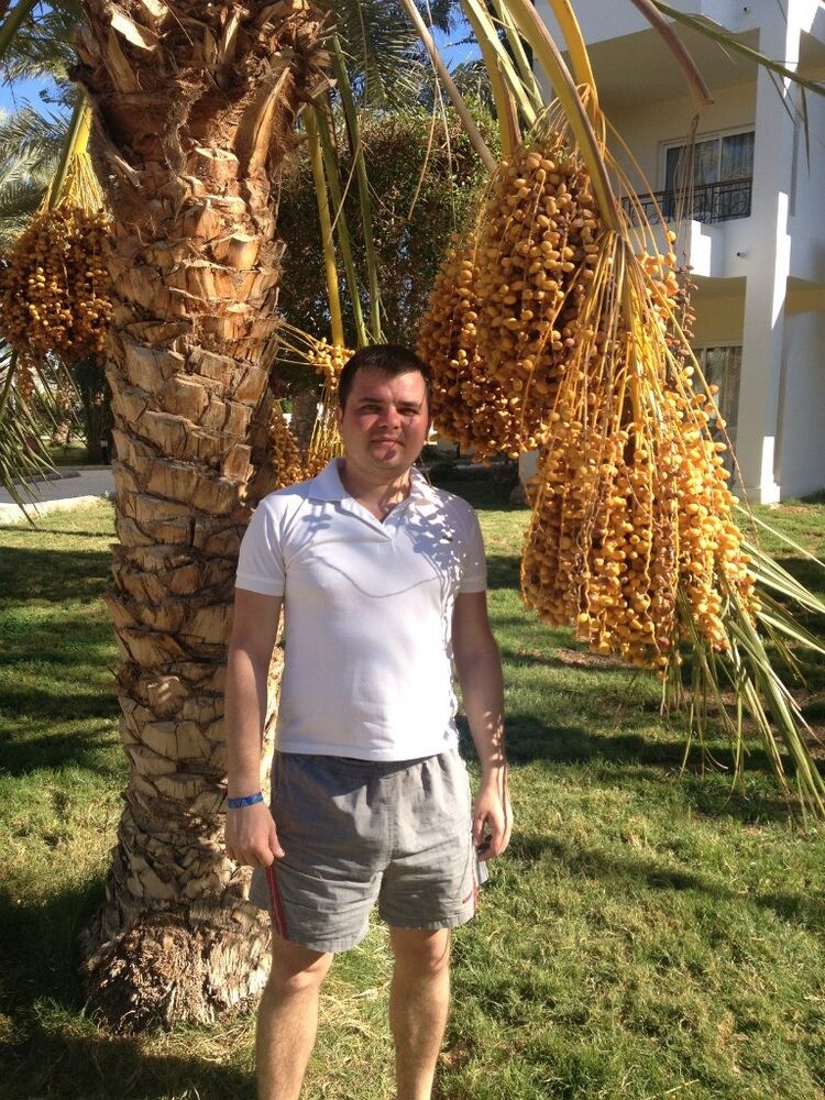 ���������� ������, ���� ������� �����, 38 ���, ������������ ��� ������, ����� � ���������, c�������� ���������