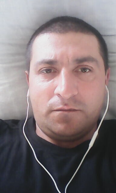  20368196  , 41 ,    