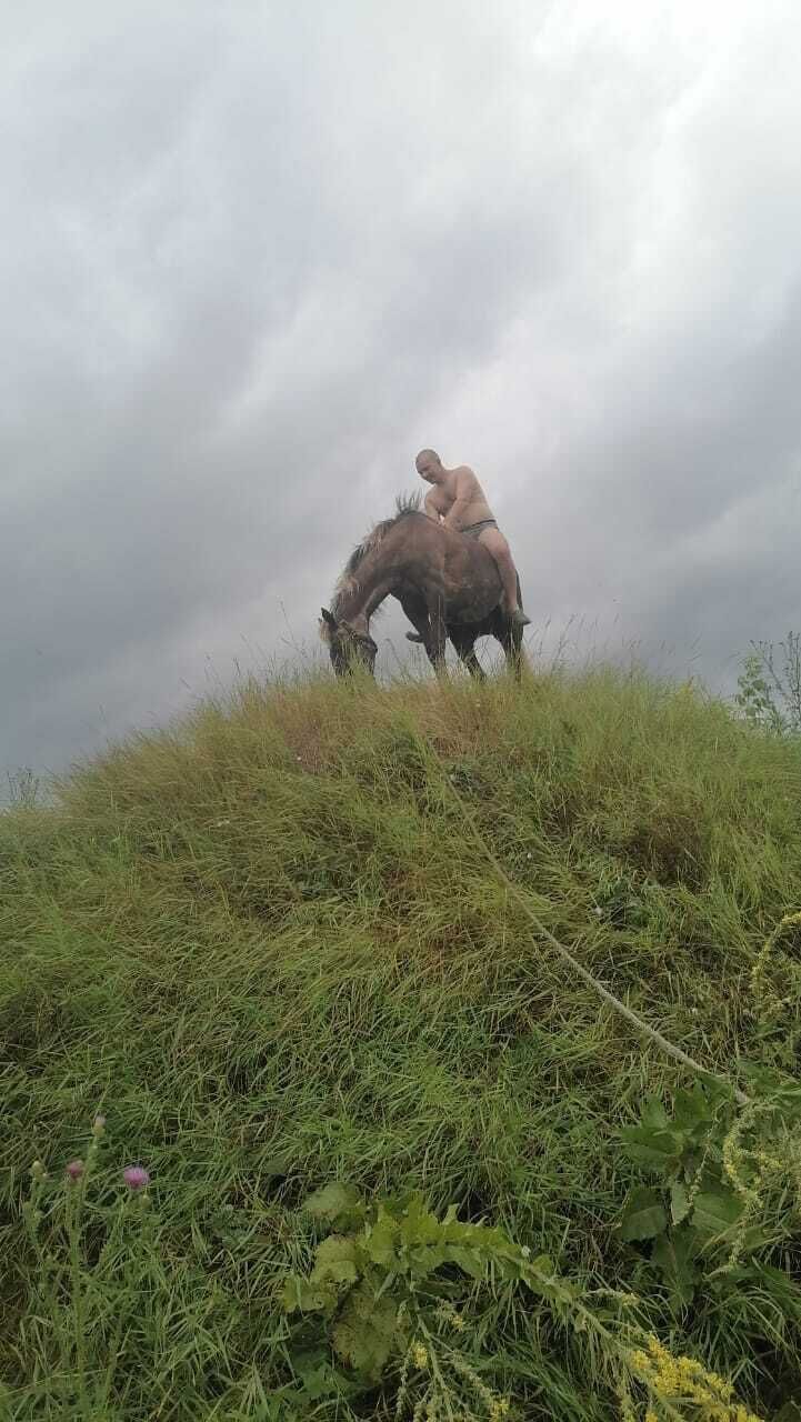 ���� 27822546 ������� �����, 45 ���, ���� ���������� � �������