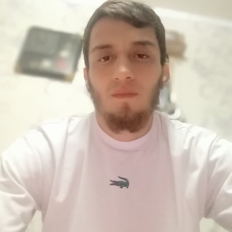  45295796  , 26 ,    