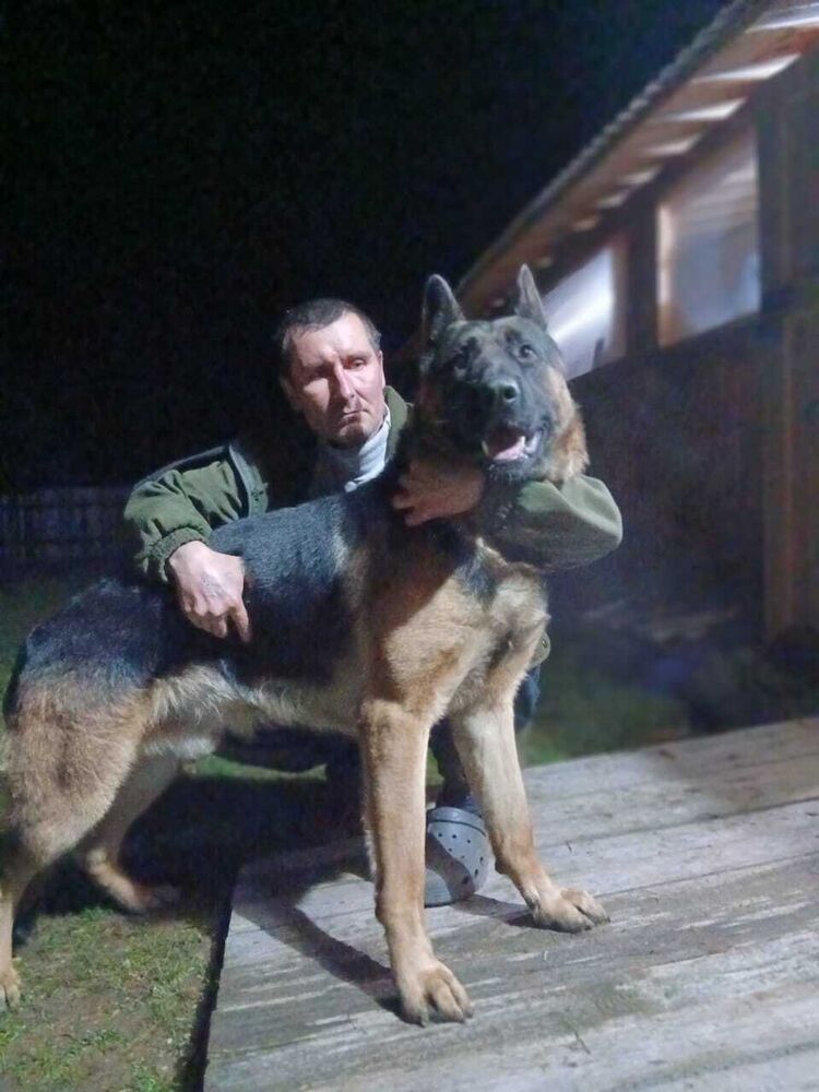 ���� 55889546 ������� Kent, 35 ���, ���� ���������� � ����������