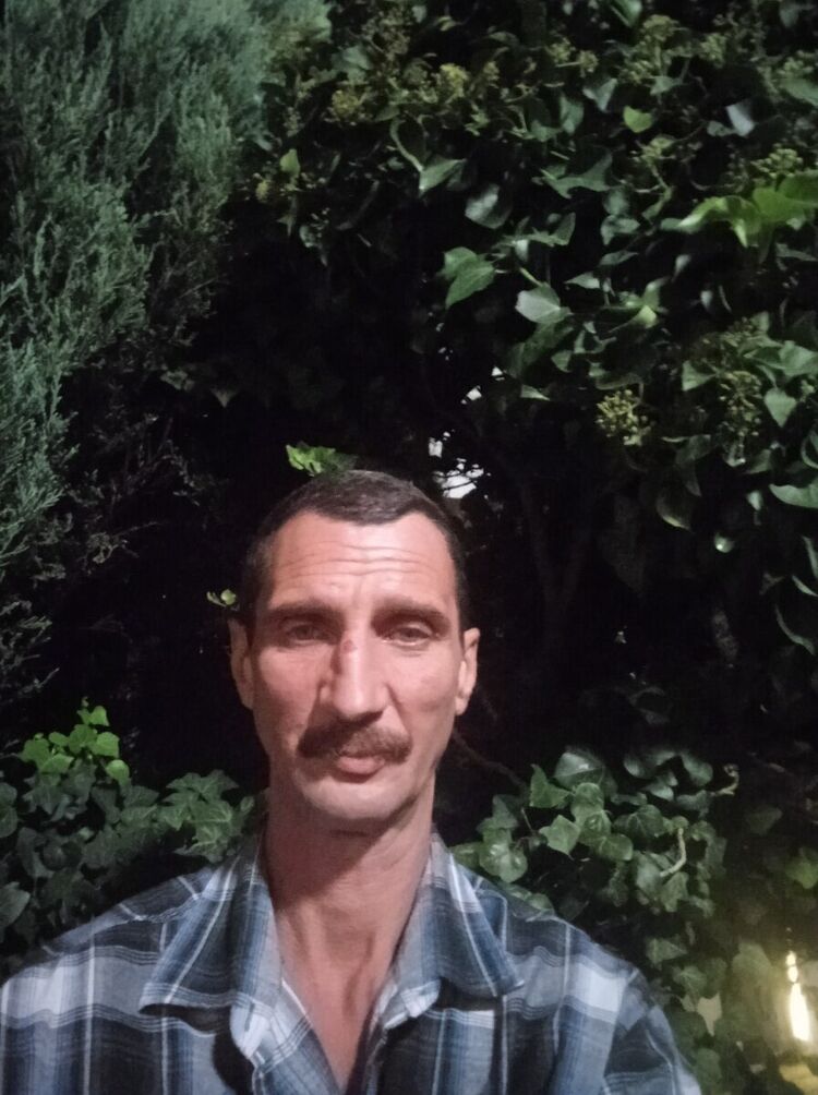  ,   , 51 ,     , c 