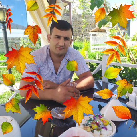  ,   , 34 ,   ,   