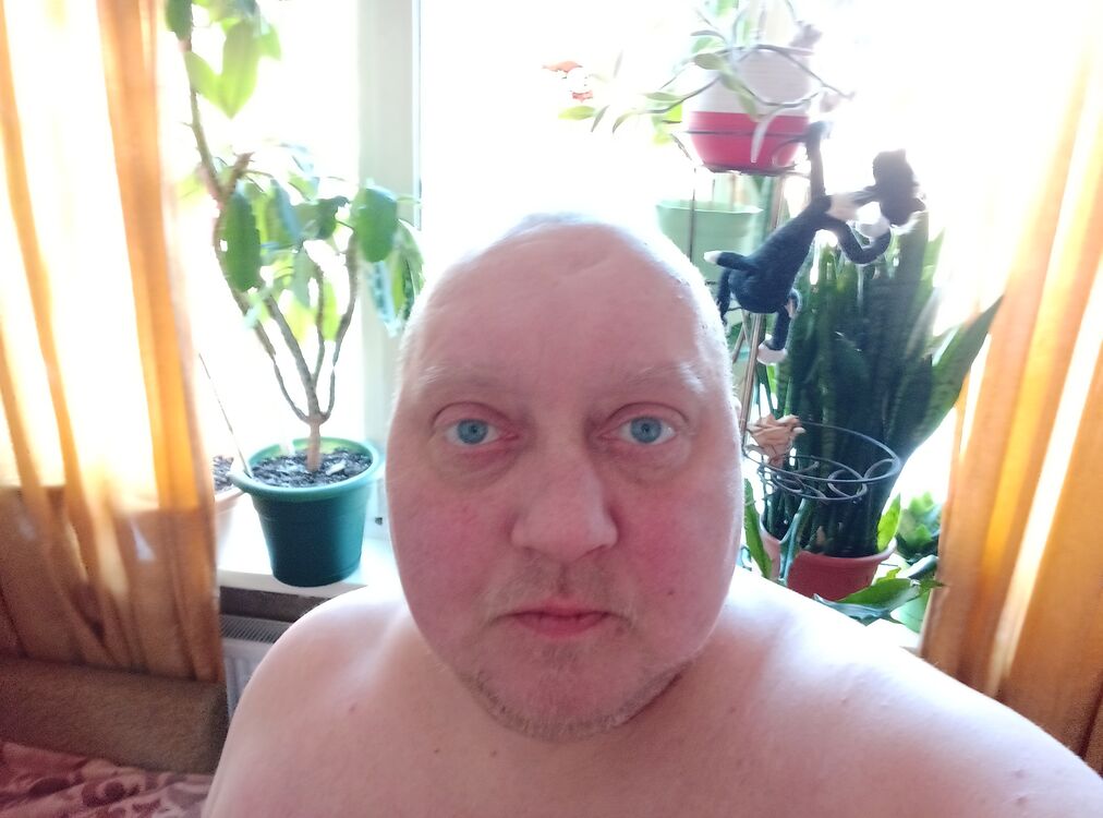  -,   , 41 ,     , c , 
