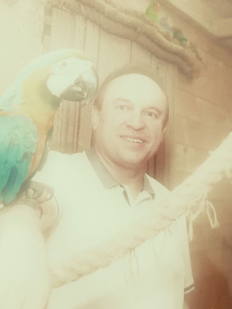 ���� 56121916 ������� ����, 43 ����, ���� ���������� � ������