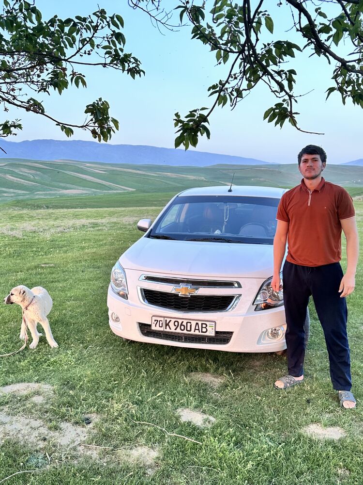 ���� 51305896 ����� ����, 24 ����, ���� ���������� � ������