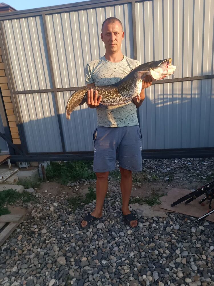 ���������� ���������, ���� ������� ������, 39 ���, ������������ ��� ������, ����� � ���������, c�������� ���������