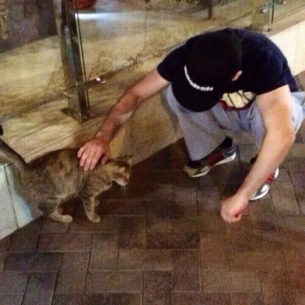 ���� 28941496 ����� ������, 24 ����, ���� ���������� � ��������