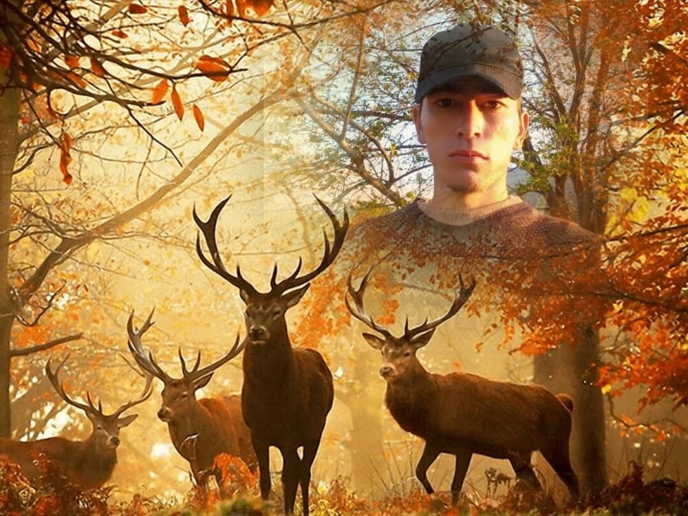 ���� 20908496 ������� �����, 30 ���, ���� ���������� � �������