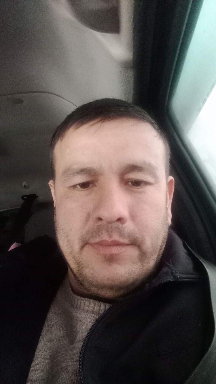  33148896  , 41 ,    
