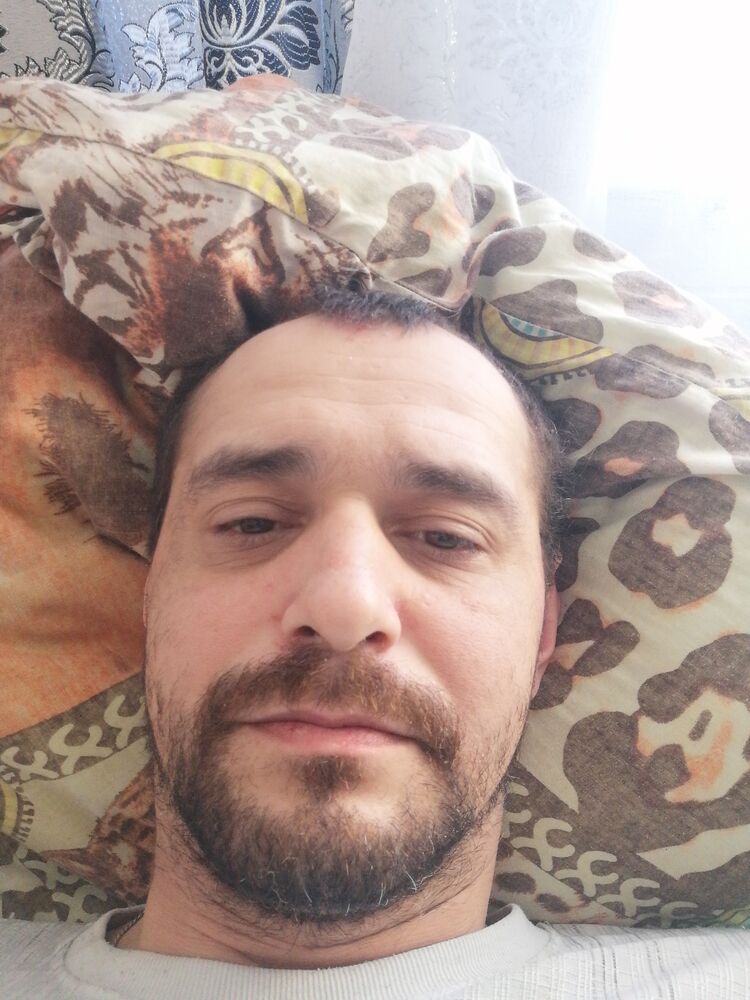  51275976  , 40 ,    -