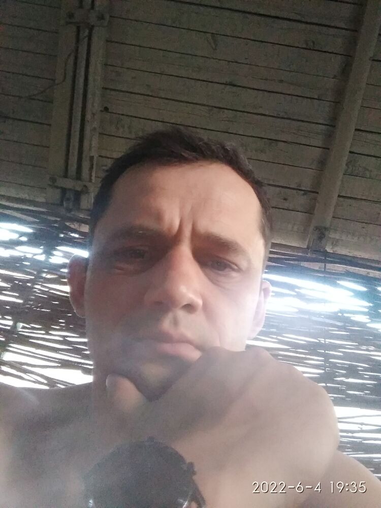 ���� 31162166 ������� ������, 38 ���, ���� ���������� � ���������