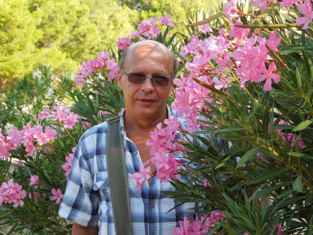  ,   , 65 ,  