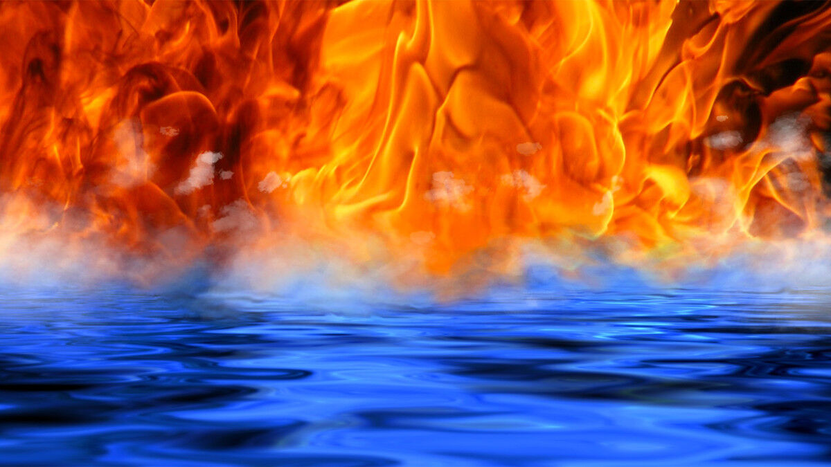 ���������� ����, ���� ������� ������, 46 ���, ������������ 