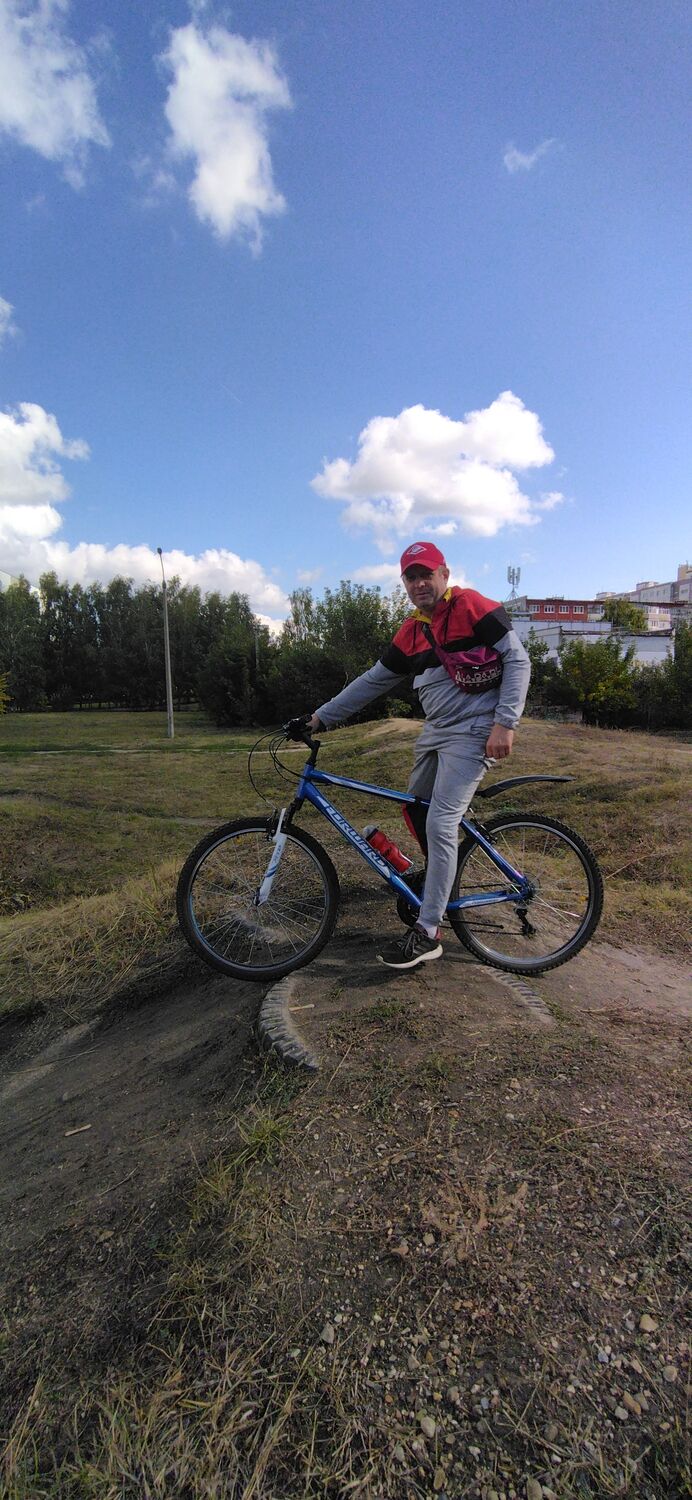  33628186  , 46 ,    