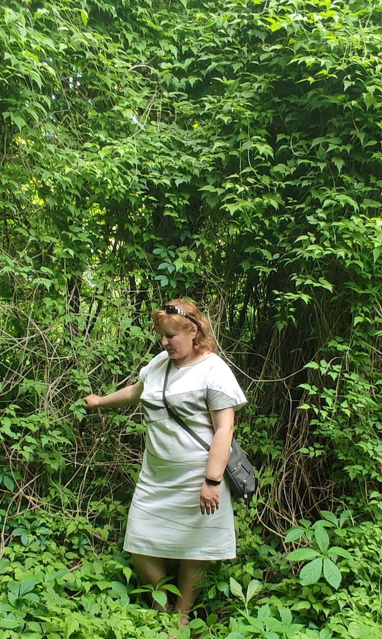 ���� 49344776 ������� �����, 49 ���, ���� ���������� � ������