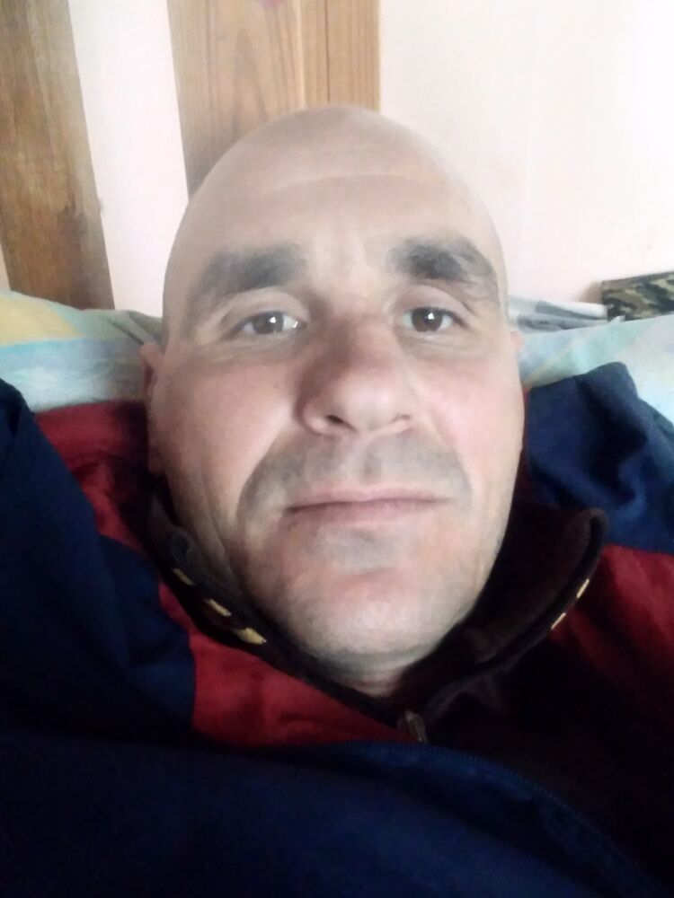  48634546  , 40 ,    