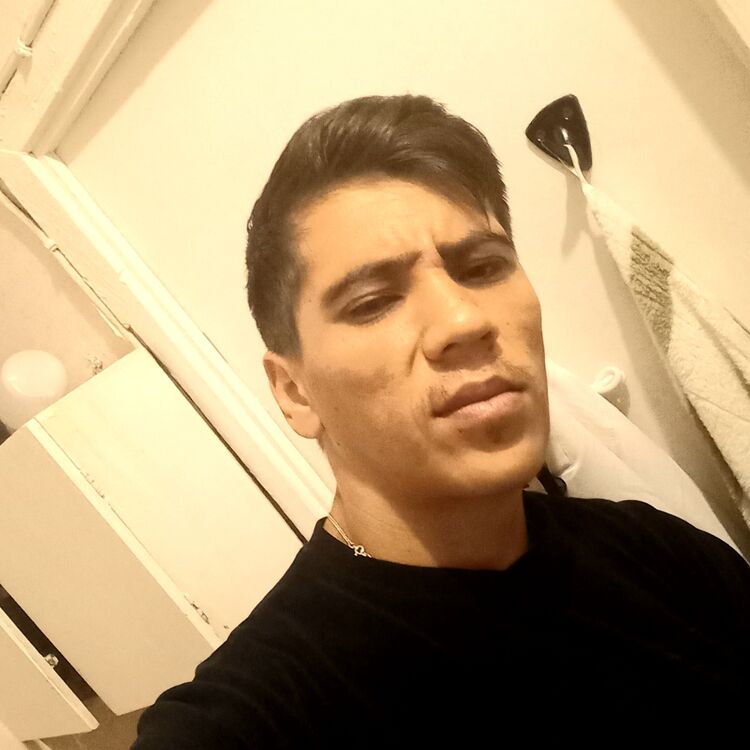  53079636  , 26 ,    -