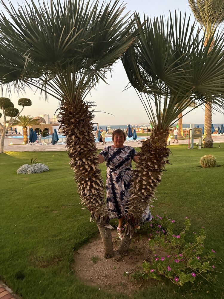 ���� 55575946 ������� ������, 57 ���, ���� ���������� � ������