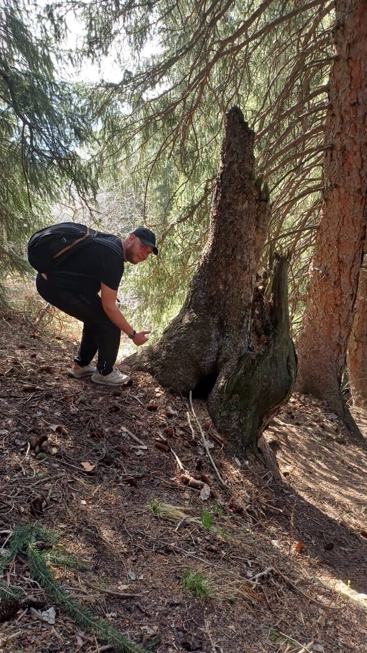  52125726  , 33 ,    -