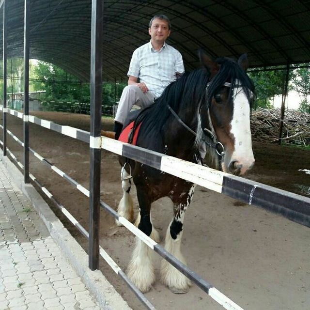  ,   Umid, 45 ,   ,   , c 