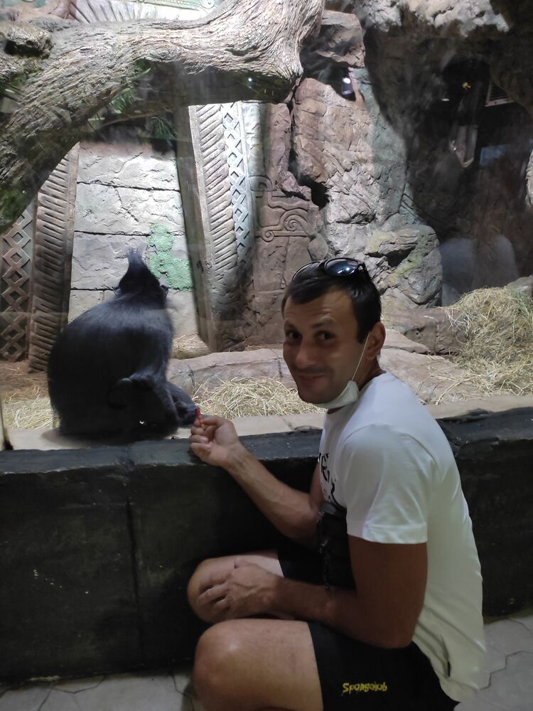 ���� 55290126 ������� ϸ��, 41 ���, ���� ���������� � �������