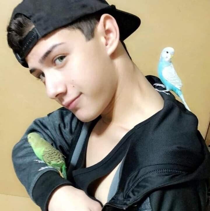 ���� 21341896 ������� Guja, 29 ���, ���� ���������� � �������