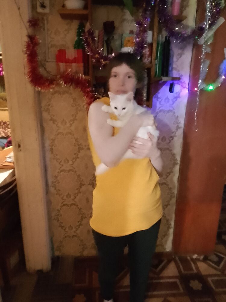  50011446  , 26 ,    